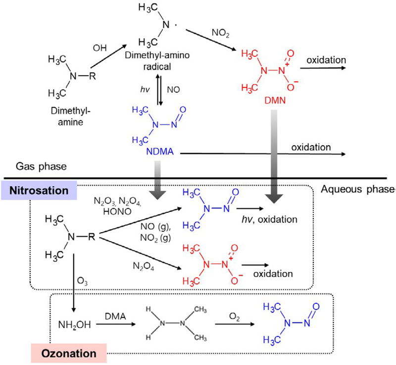 Fig. 2